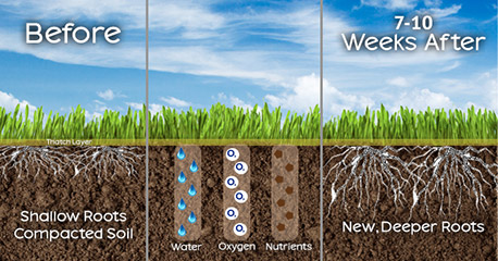 Aeration & Dethatching Ann Arbor, MI