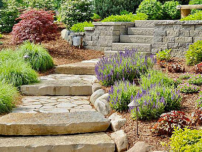 Landscape Maintenance Ann Arbor, MI Landscape Maintenance Ann Arbor, MI