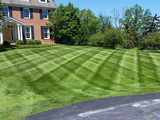 Lawn Maintenance Ann Arbor, MI